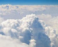 CercoCarina CercoCarina