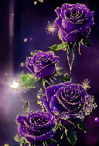 giuliameloni08 giuliameloni08