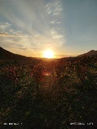 Juangrecoq1 Juangrecoq1