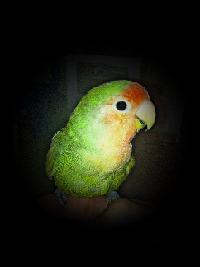 maddaloni29ver maddaloni29ver