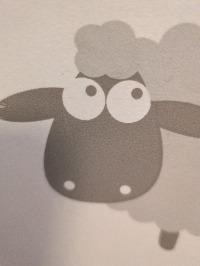 PorcVoc