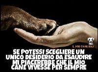 Damiano29