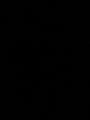 Mirko006