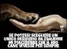 Damiano29